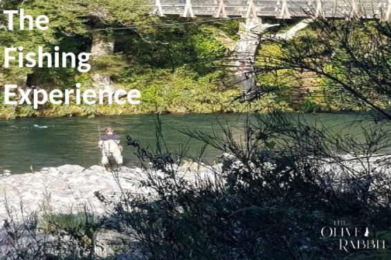 The Fishing Experience