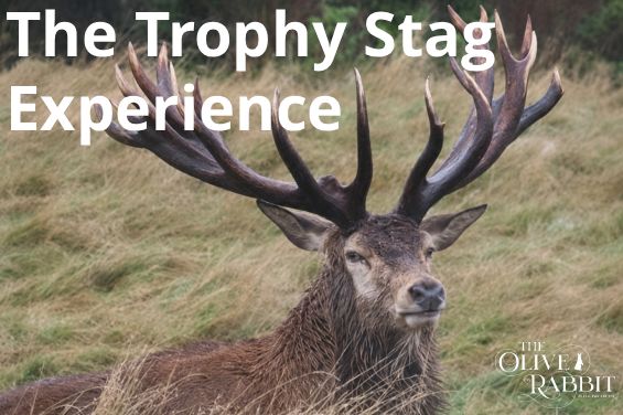 The Trophy Stag Experience